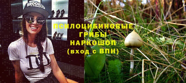 наркотики Алексеевка
