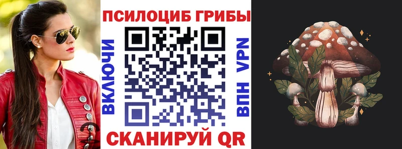 где найти   Кропоткин  KRAKEN как войти  Галлюциногенные грибы мицелий 